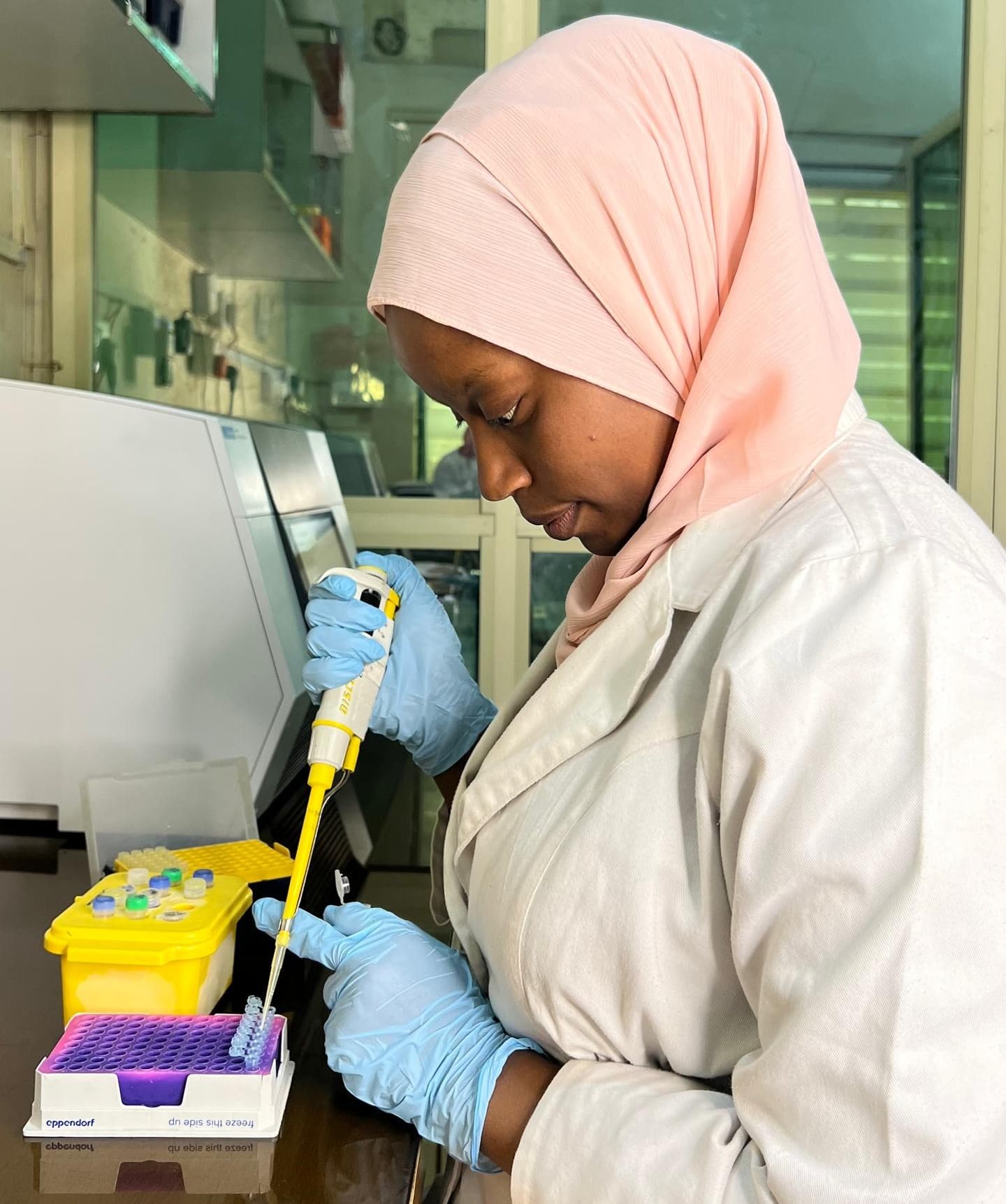 Hassana A. Abdulrahman